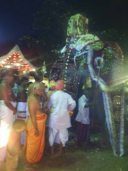 Swami and entourage ready to start