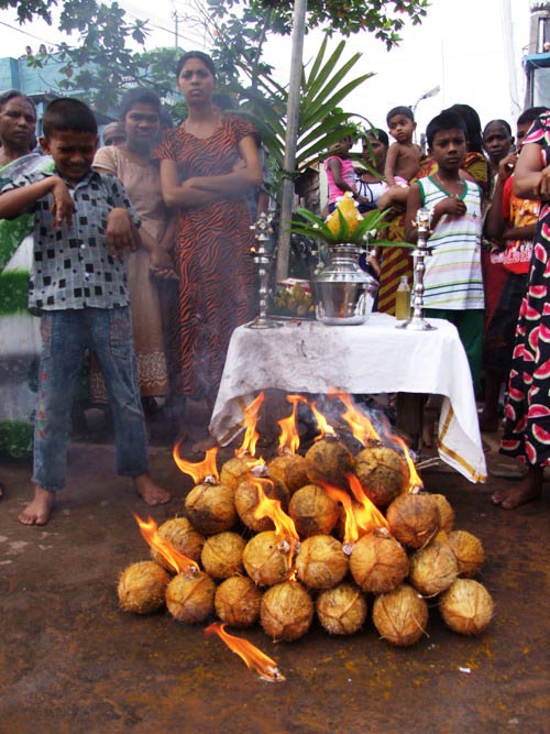 Heaps of coconuts are waiting to be smashed.