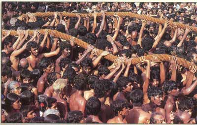 Pulling the festival car at Nallur