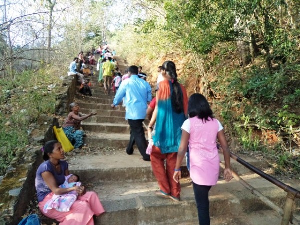 Kathirgama Kandan pilgrims climb Katiraimalai