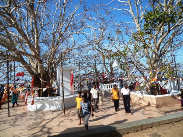 Kathirgama Kandan pilgrims climb Katiraimalai