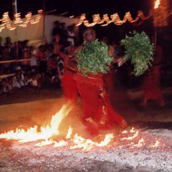 Fire Walking: A Dedication to Kataragama Deviyo