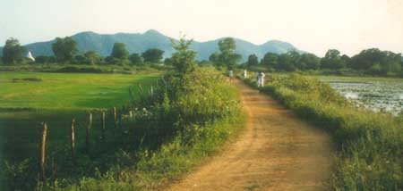 Seven hills of Kataragama with Kirivehera dagoba seen at left
