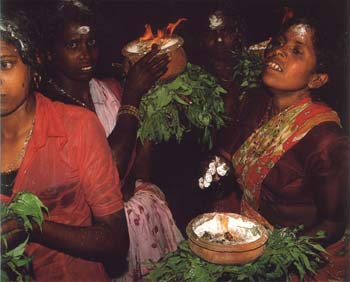Women offer clay pots of burning camphor to Lord Kataragma and His entourage