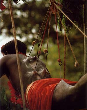 Hanging from hooks at Kataragama