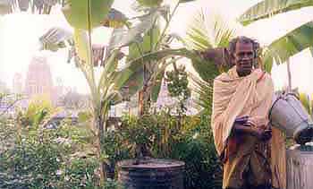 Siva Thondan Asramam with G. Thuraiyappa in foreground and Kokadichcholai gopuram in the background