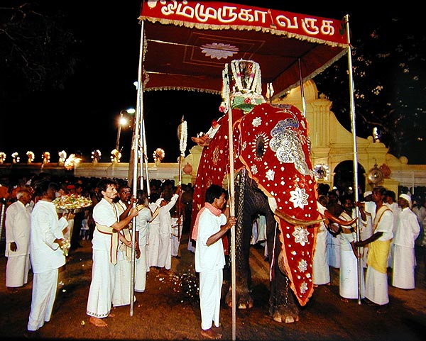 Mounted upon a tusker, Swāmi emerges from His temple compound to visit Valli Amma each evening of the festival. Photo  1991 Xavier Zimbardo