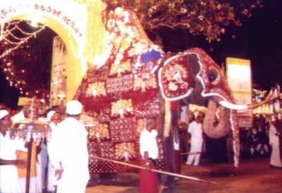 Kataragama Perahera procession