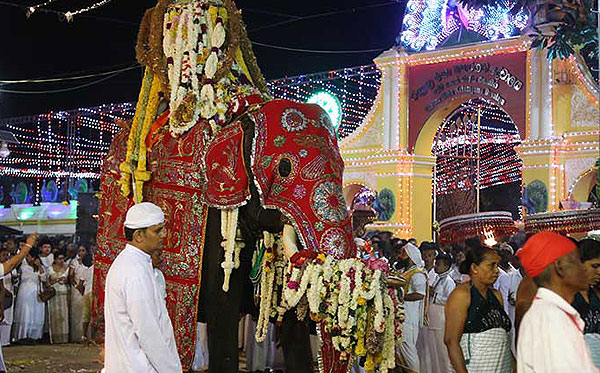 The Kataragama Esala Perahera nowadays