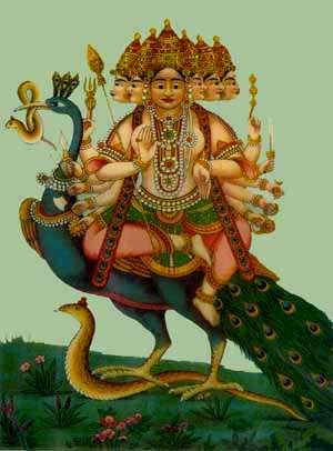 Shanmukha, the Six-Faced Lord, Whose eye of gnosis penetrated the six cardinal directions of three-dimensional space. His vehicle the peacock or phoenix signifies mastery over space, time and Death, represented by the poisonous cobra. Early 20th century painting from central India (18571 bytes)